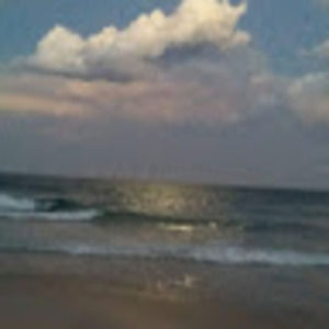 Meet your Posher, Shaylee